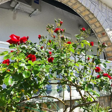 Zeljka1 Mit Pool By Interhome * Malinska