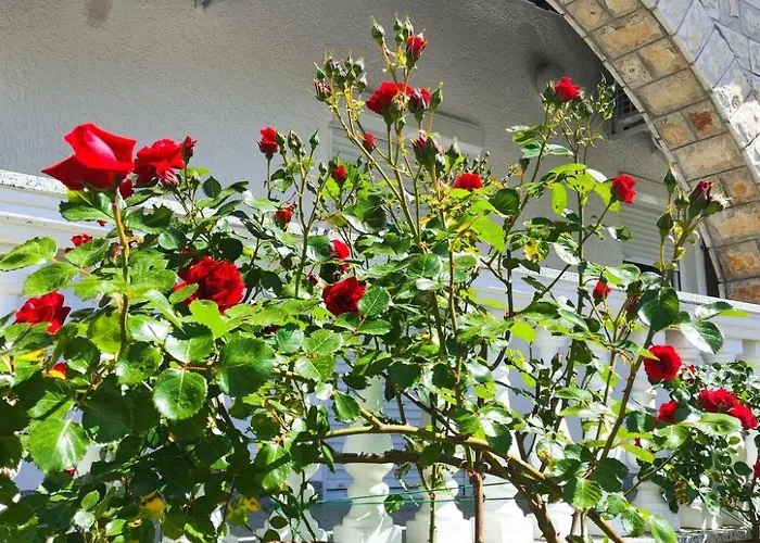 Zeljka1 Mit Pool By Interhome * Malinska